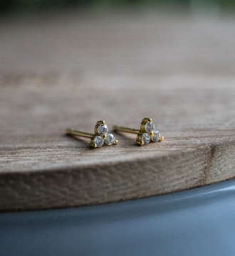 Diamonds are Forever Earrings
