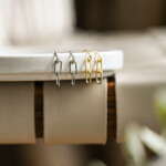 Shanelle Chain Earrings