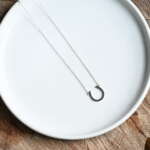 Lucky Horseshoe - Image 3